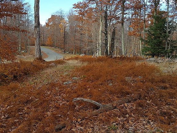 Looking back down the road