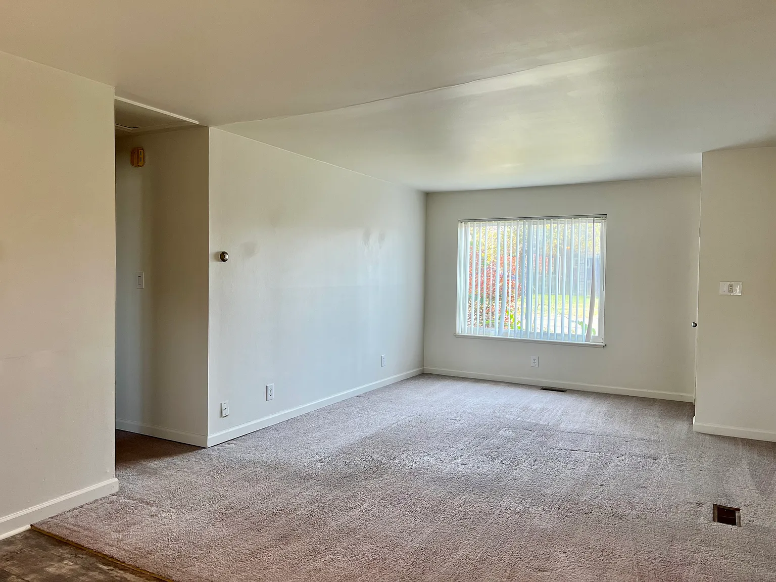 1 bed, 800 sqft, $895 — Photo 3