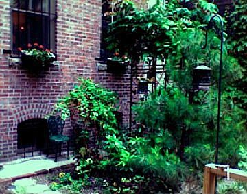 Garden Walk June 2010