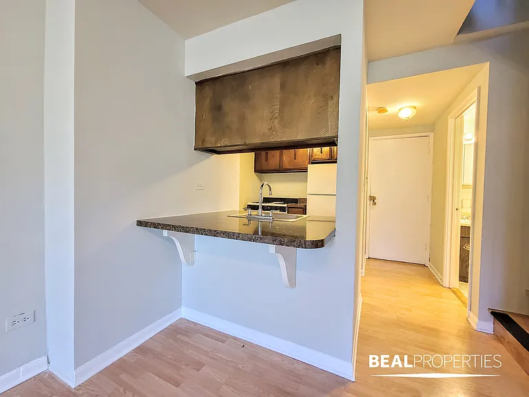 445 W Barry — Photo 170