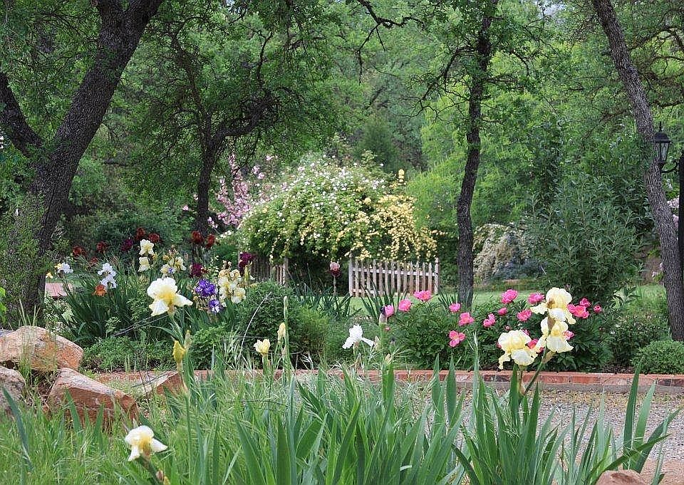 SPRING FLOWERS