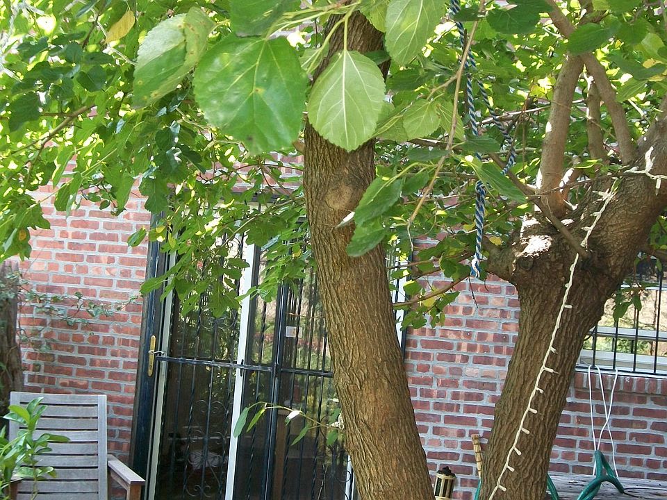 2nd image of 5 Hickok Pl