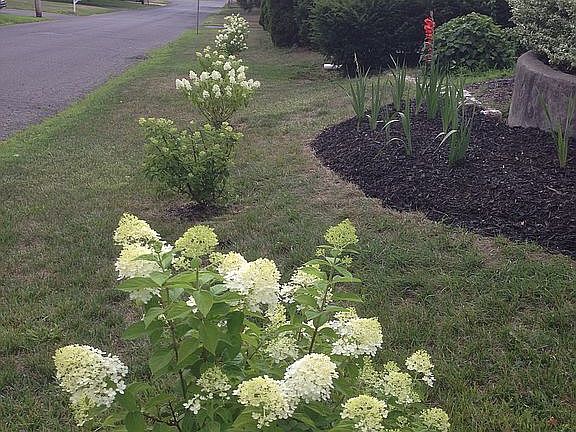 Corner side of house