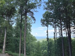 194 Highline Dr, Ellijay, GA 30536