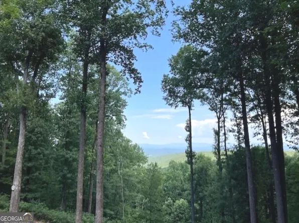 194 Highline Dr, Ellijay, GA 30536