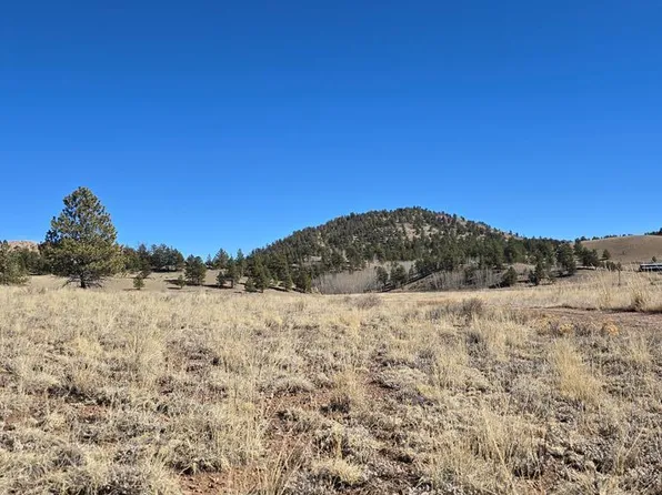 2450 Antelope Ln, Guffey, CO 80820