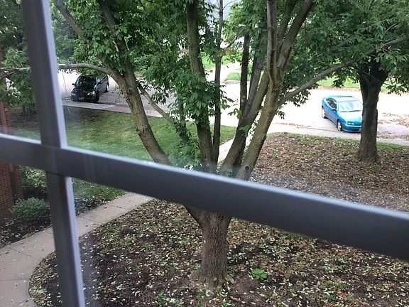 Courtyard Window View