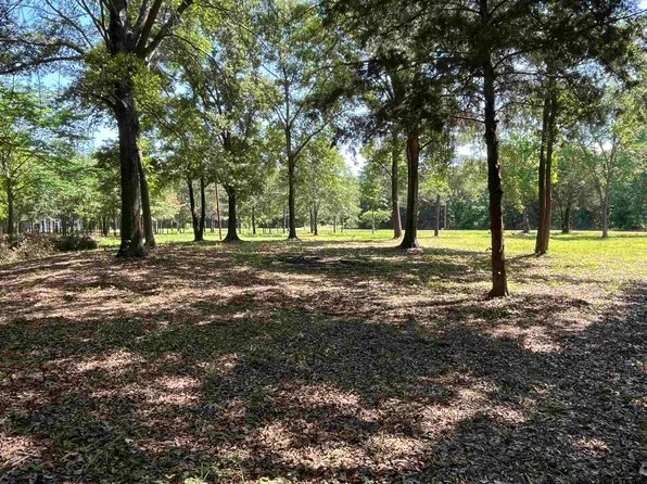 5 County Road 2605, Pittsburg, TX 75686