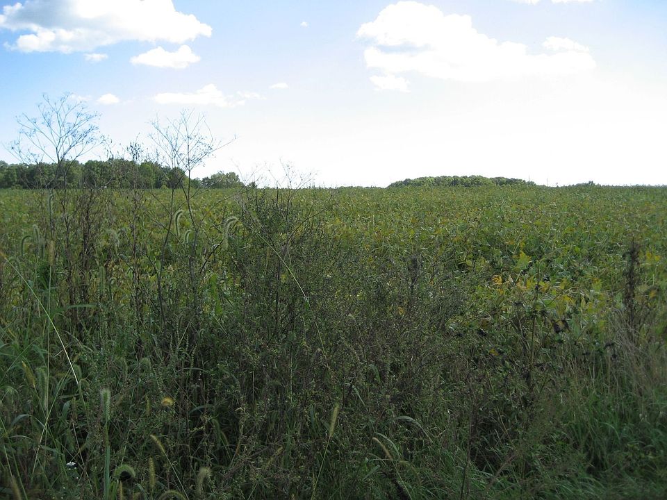 15 acres