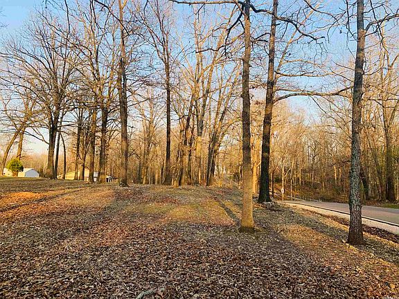 5th image of 195 Dogwood Ln