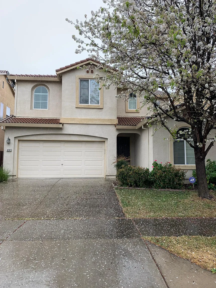 4242 Malta Island St photo 1