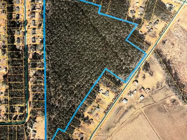 0 Nc Highway 43, Pinetops, NC 27864