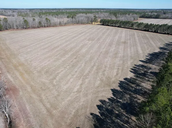30 Acres-TBD Big Woods Rd., Kingstree, SC 29556