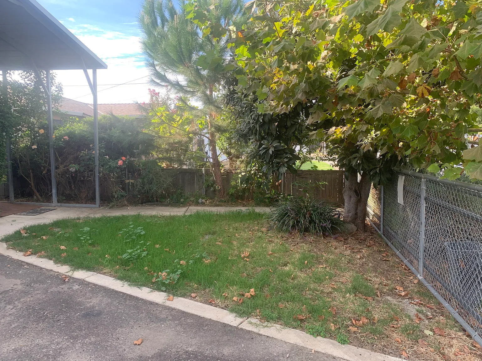3 bed, 850 sqft, $2,150 — Photo 3