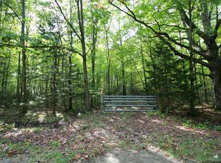 12000 Fergus Rd, Saint Charles, MI 48655