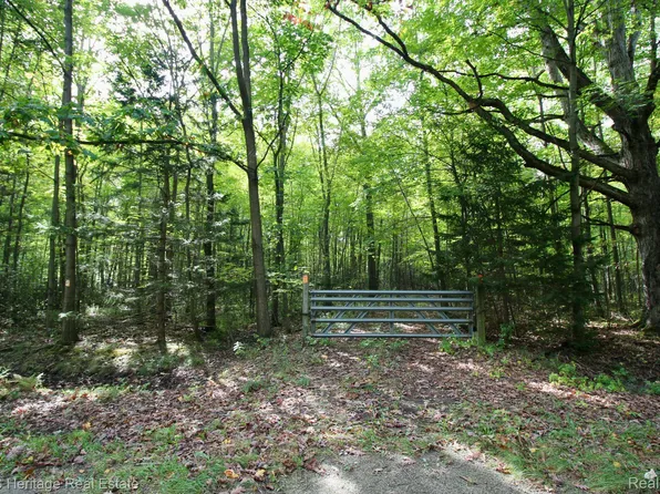 12000 Fergus Rd, Saint Charles, MI 48655