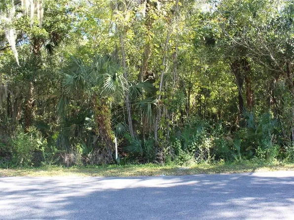 Flamingo Rd, Oak Hill, FL 32759