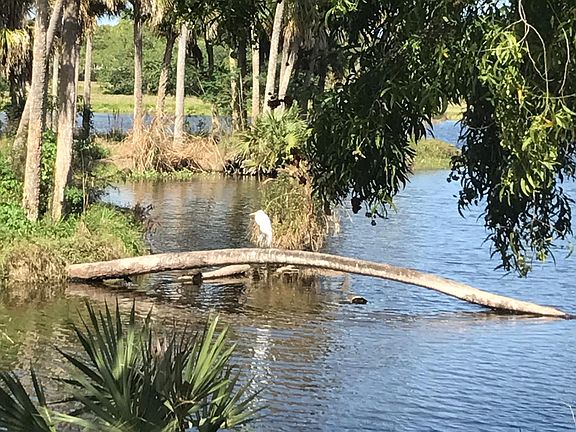 Lake and wildlife preserve across the street with fantastic sunsets nightly.