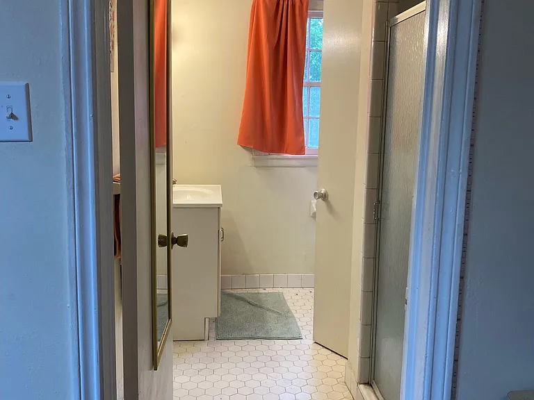 Back Bathroom (shower, sink vanity, toilet)