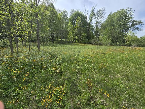 3rd image of Cemetery Rd