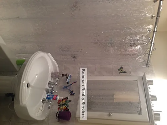 Rented by Engel and Volkers Brownstone Brooklyn | media 77