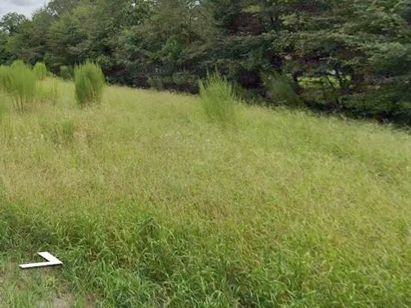 213/301 Hampton Road Marion Rd, Pinewood, SC 29125