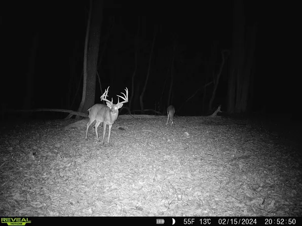 2998 County Road 140, Estillfork, AL 35745