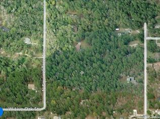 1601 N Squirrel Tree Ave, Lecanto, FL 34461