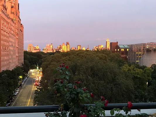 Sold by Douglas Elliman | media 22