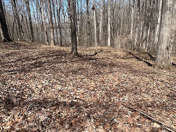 4th image of 0 Waters Edge Ln Lot 12&13