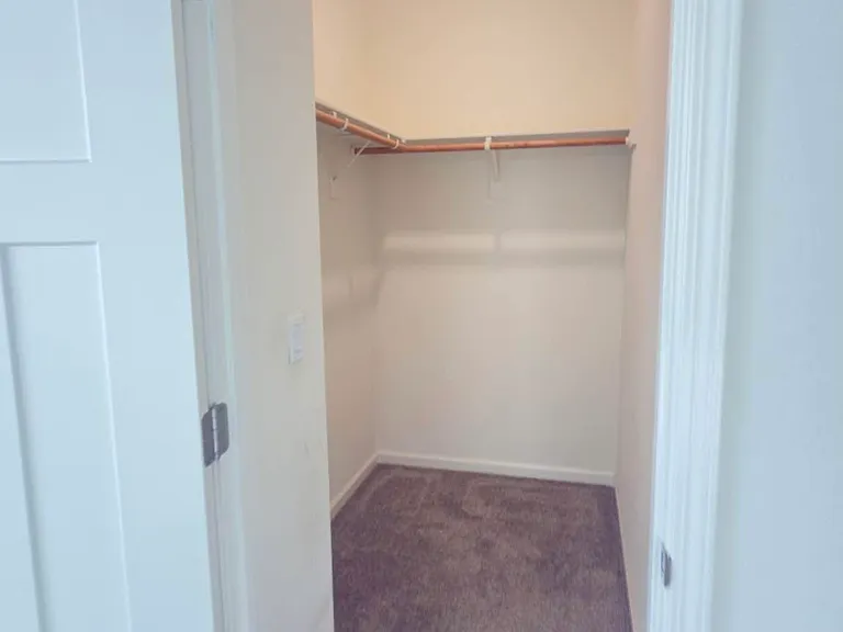 Wild Lilac Cir — Photo 2