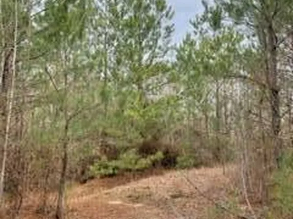 19450 Attala Rd #3122, French Camp, MS 39745