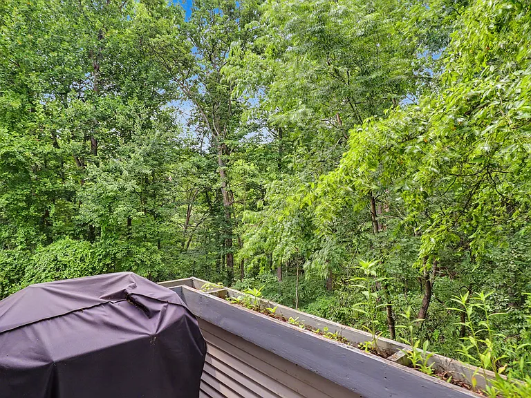 10225 Cove Ledge Ct — Photo 12