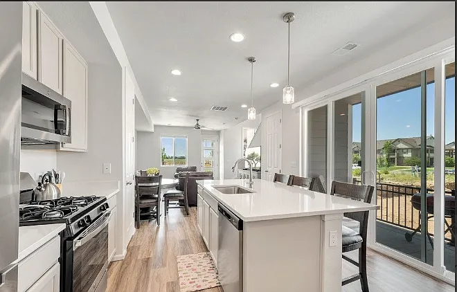 Living Room / Dining Room / Kitchen Space