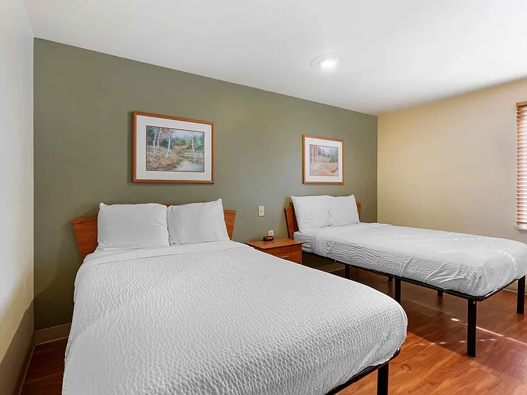 Studio Suite - 2 Full Beds