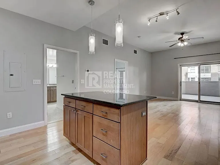 1950 N Logan St #302 — Photo 8