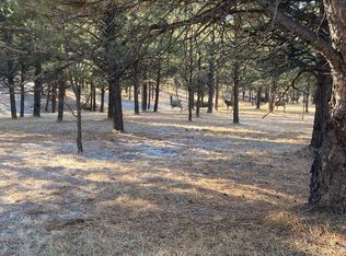 TRACT 49 Hickok Dr, Hot Springs, SD 57747