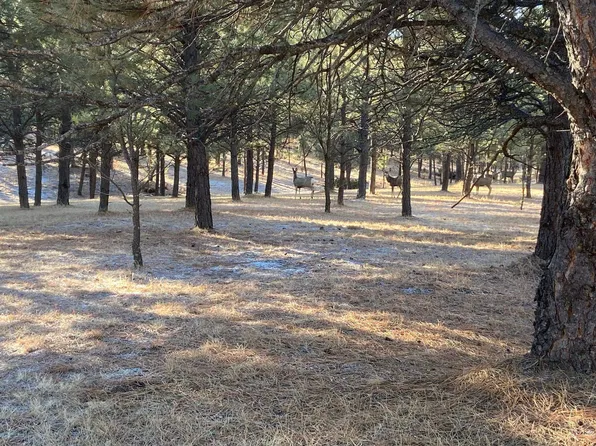 TRACT 49 Hickok Dr, Hot Springs, SD 57747