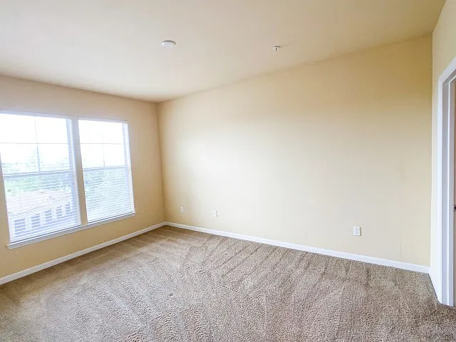 Large Bedroom with Lush Carpet Large Bedroom with Lush Carpet