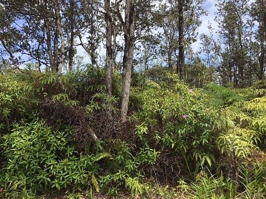 1st image of Kahukai St