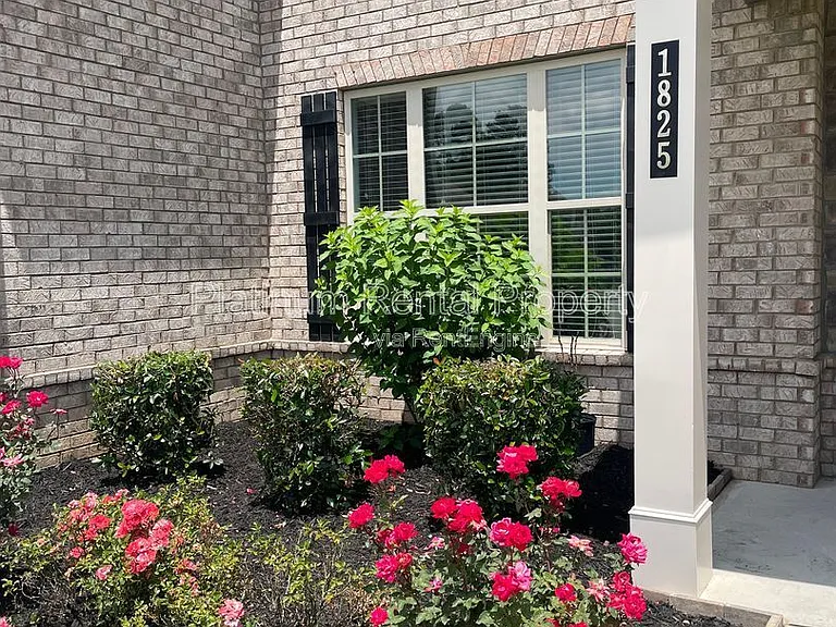 1825 Dahlia Dr — Photo 8
