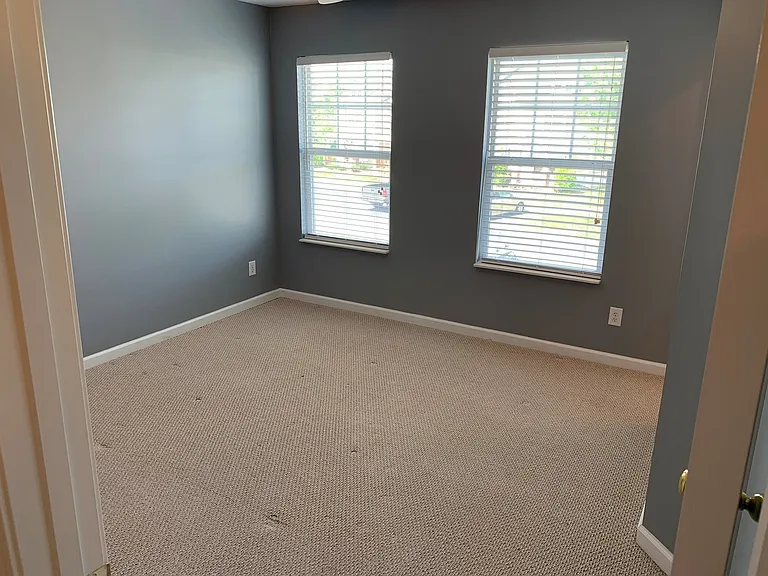 3115 Harpeth Springs Dr — Photo 13