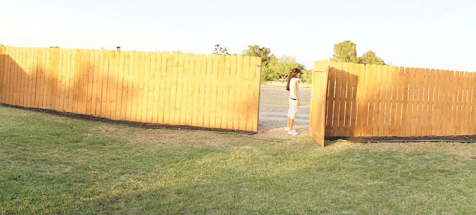 Back Yard 