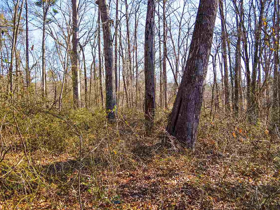 2nd image of Rosecrest Rd