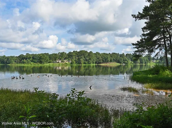 LOT 9 Champion Ln NE, Cullman, AL 35058