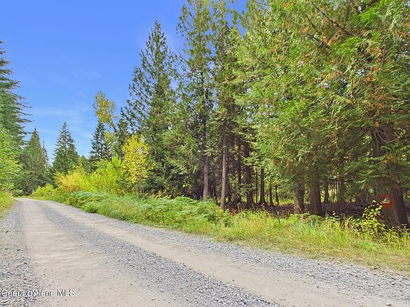 2nd image of 2815 Bear Creek Rd