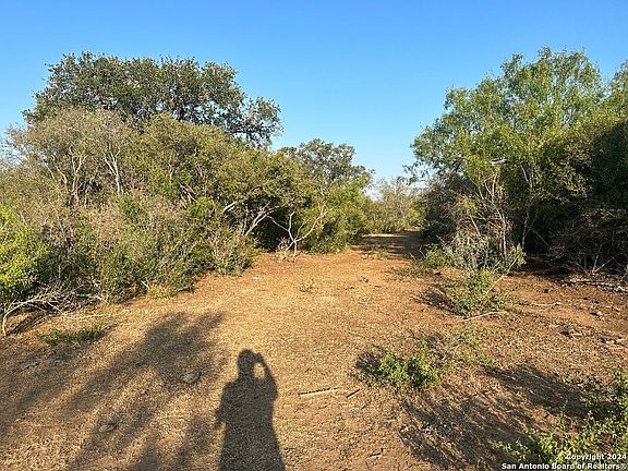 5th image of 00000 Adkins-St. Hedwig Road