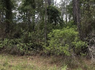 105 Needles Ln, Georgetown, FL 32139