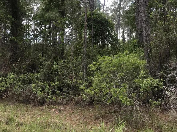 105 NEEDLES Lane, Georgetown, FL 32139