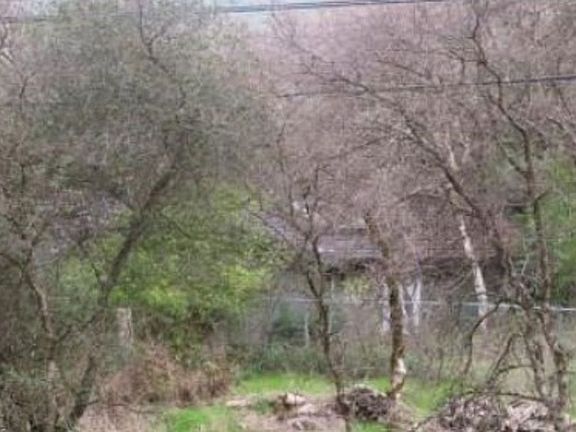 Property Side View
